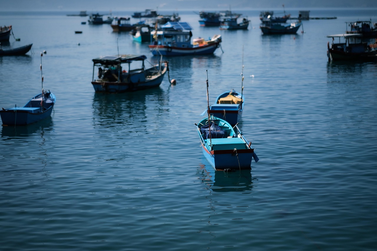Boats docked at coastal marina harbor with nautical scenery and waterfront views